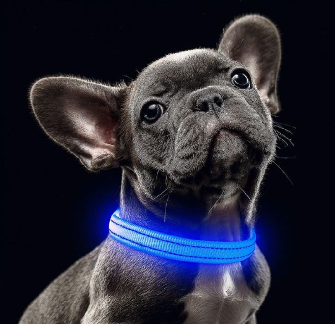 Led Pet Collar For Night Walk
