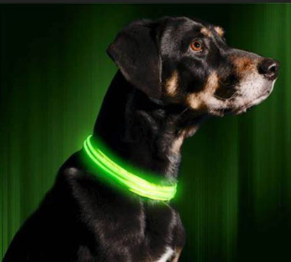 Led Pet Collar For Night Walk