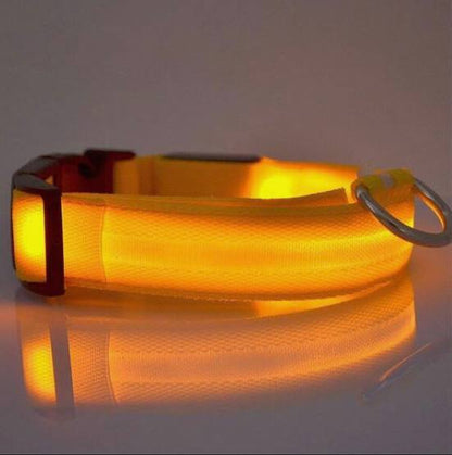 Led Pet Collar For Night Walk