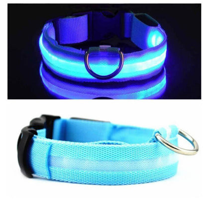 Led Pet Collar For Night Walk