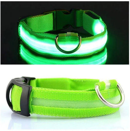 Led Pet Collar For Night Walk