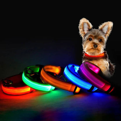 Led Pet Collar For Night Walk