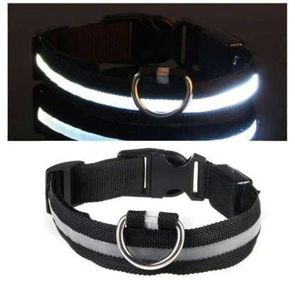 Led Pet Collar For Night Walk