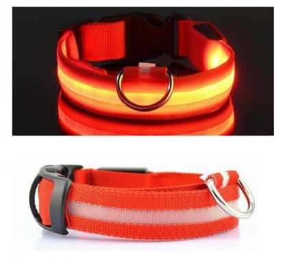 Led Pet Collar For Night Walk