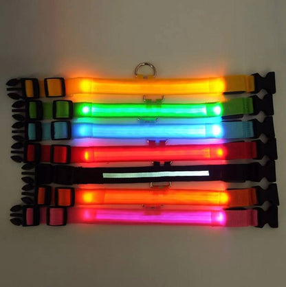 Led Pet Collar For Night Walk