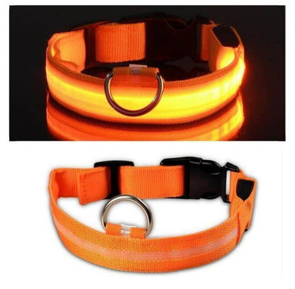 Led Pet Collar For Night Walk