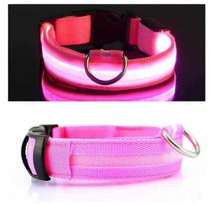 Led Pet Collar For Night Walk